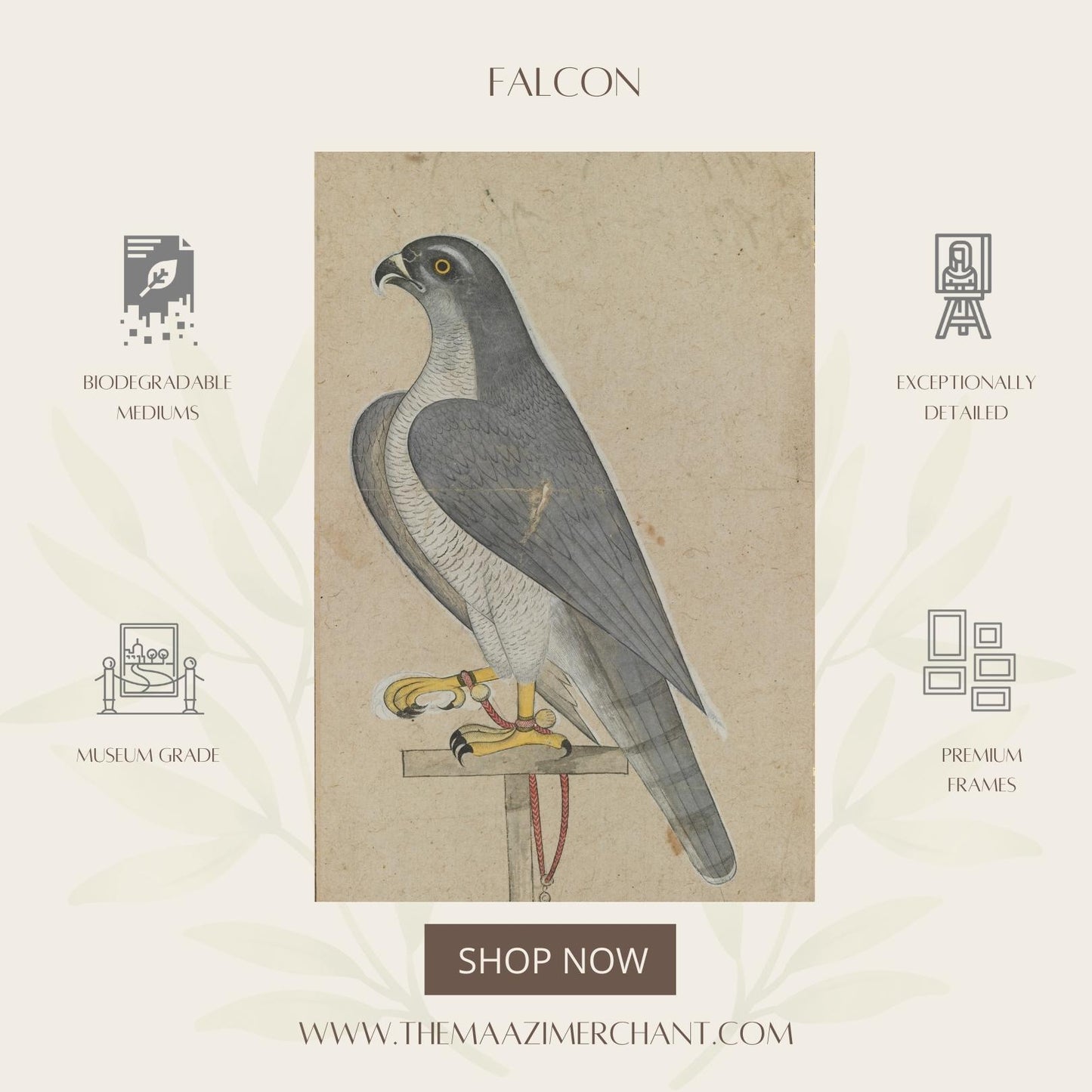 Falcon