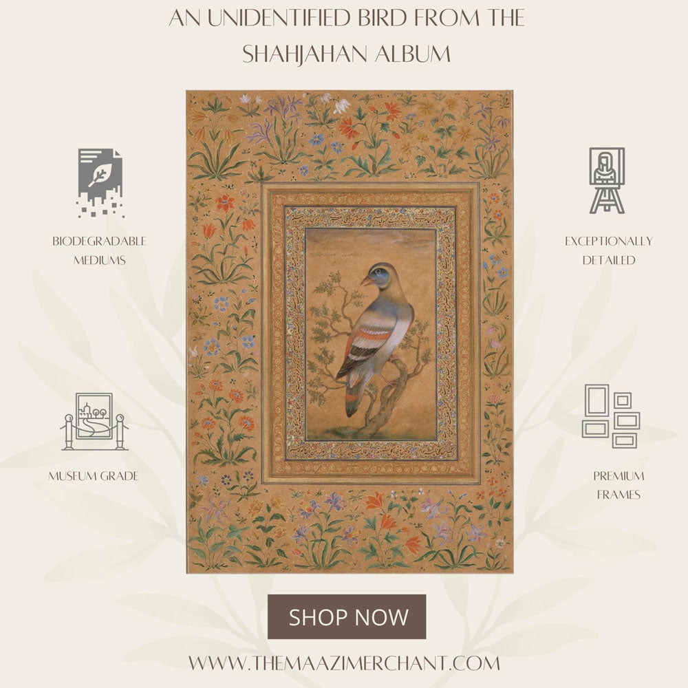 An Unidentified bird from the Shahjahan Album