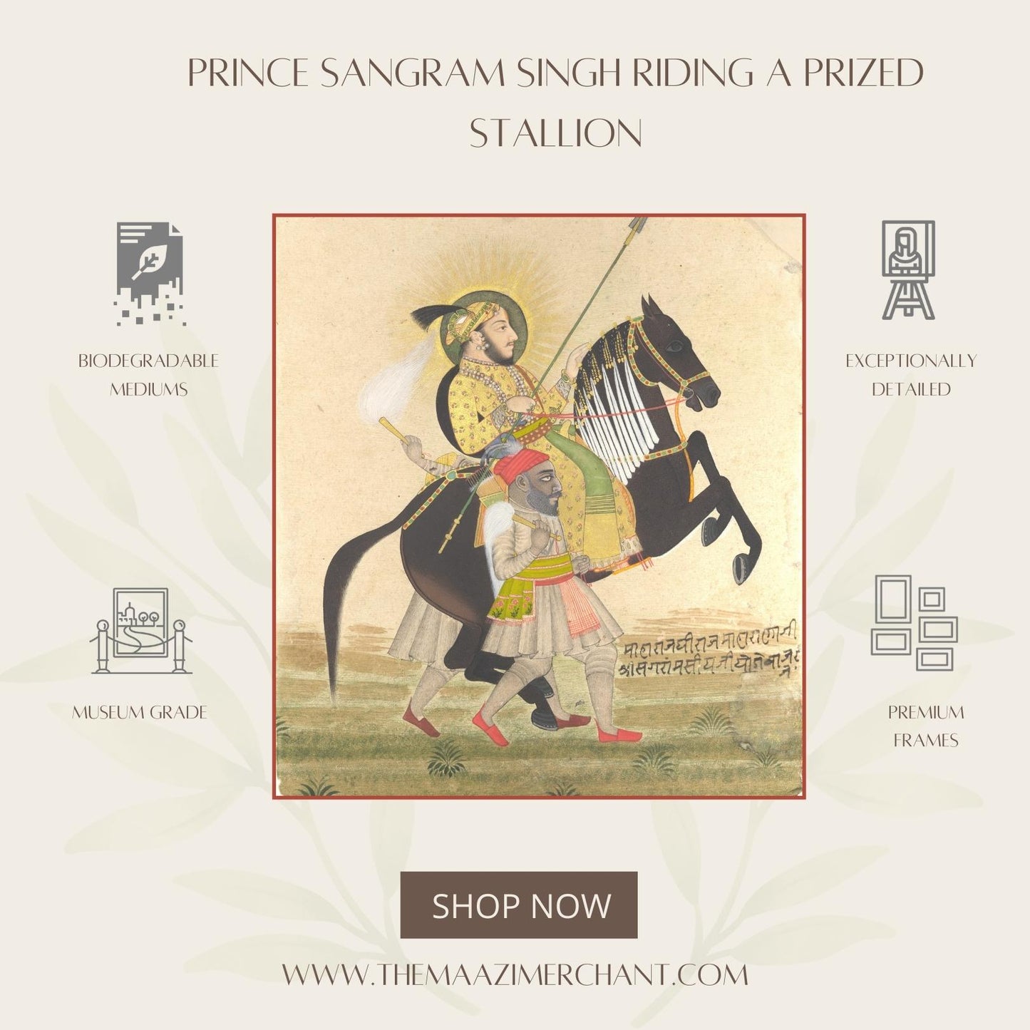 Maharana Sangram Singh riding a prized stallion