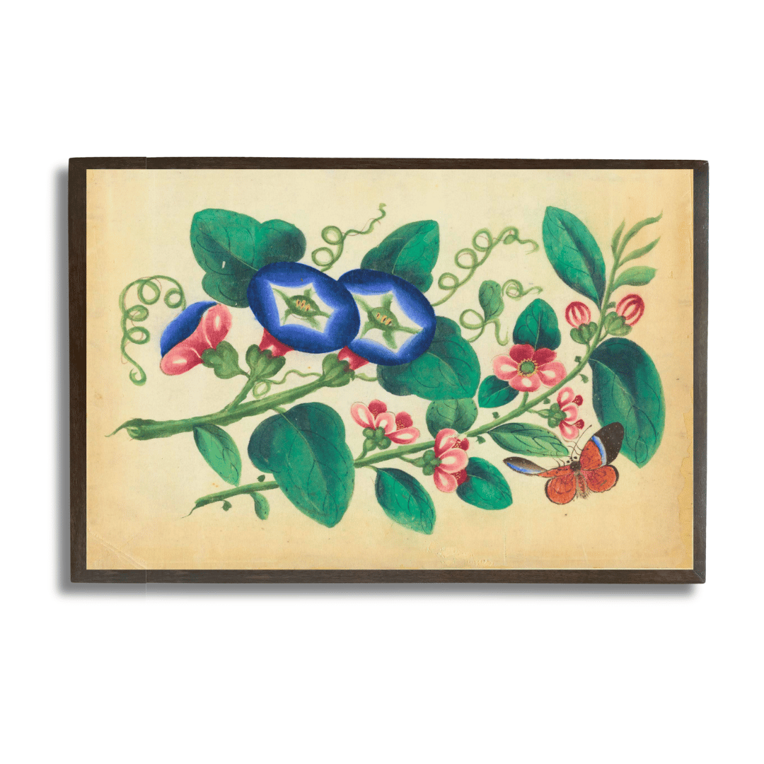 Floral suite with butterfly - IV