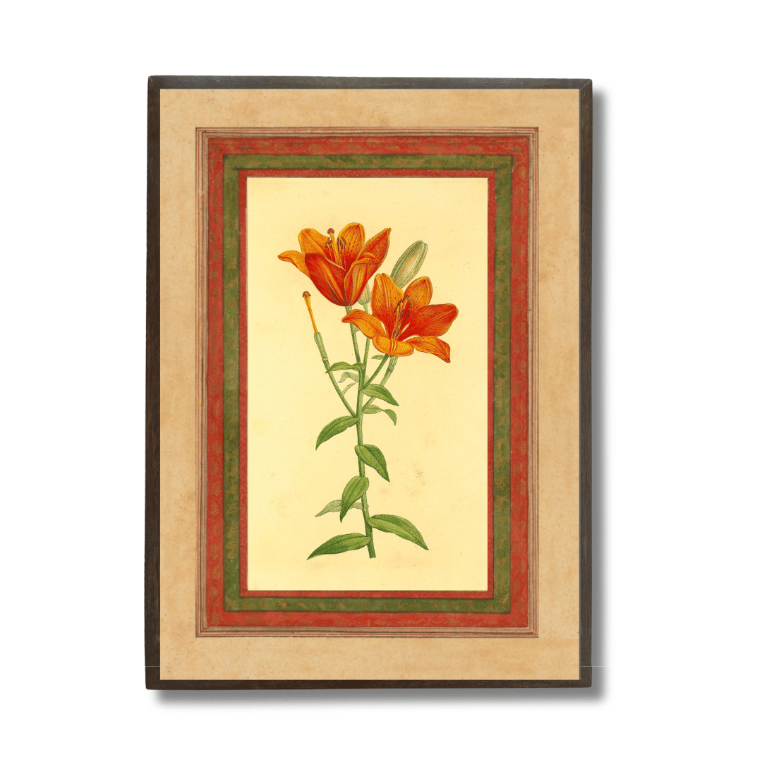 Orange Lily