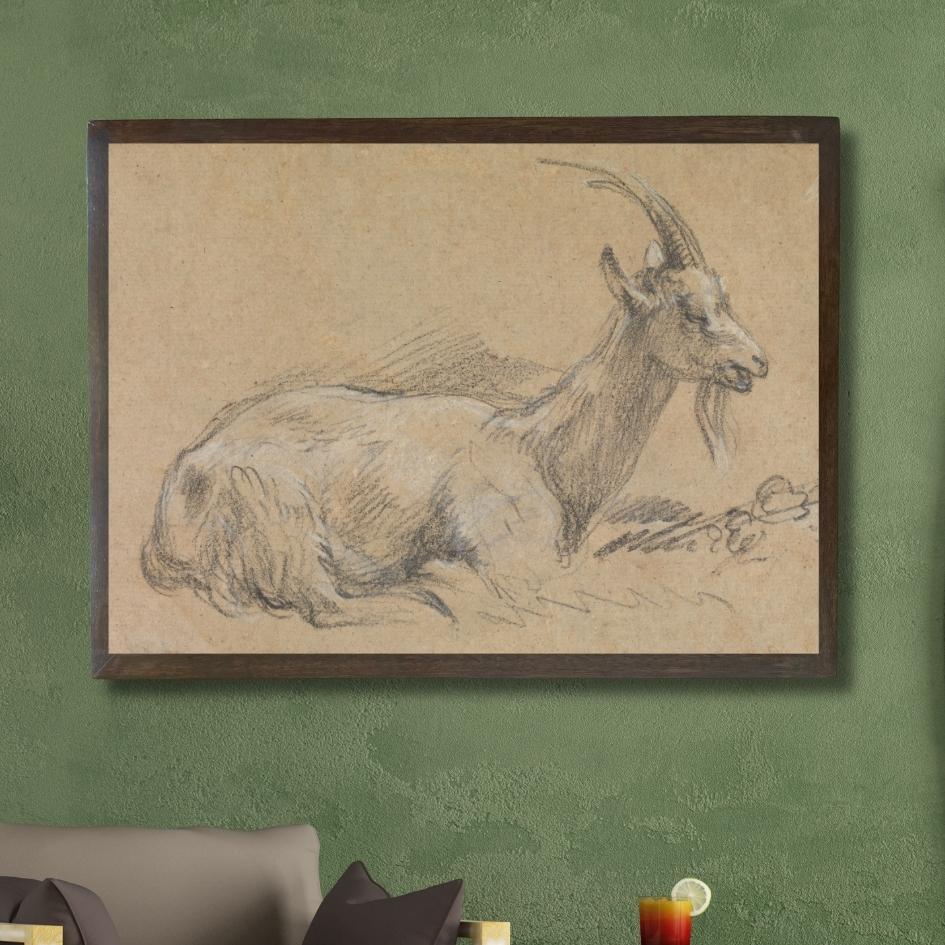 Study of a Goat