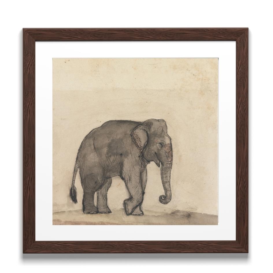Study of an Elephant
