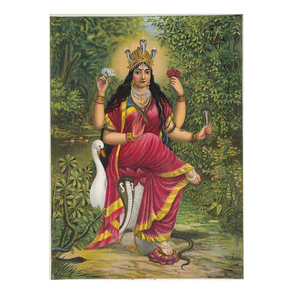 Manasa Devi