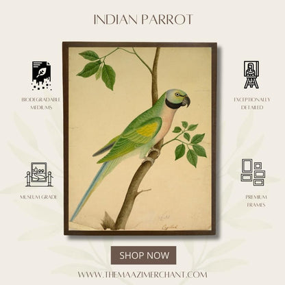 Indian Parrot