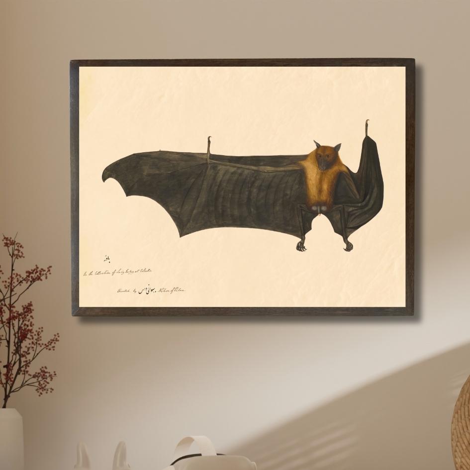 Great Indian Fruit Bat - II
