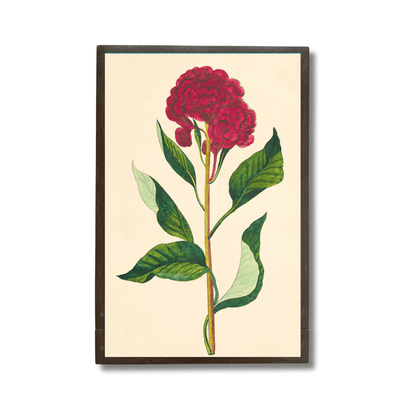Woolflower