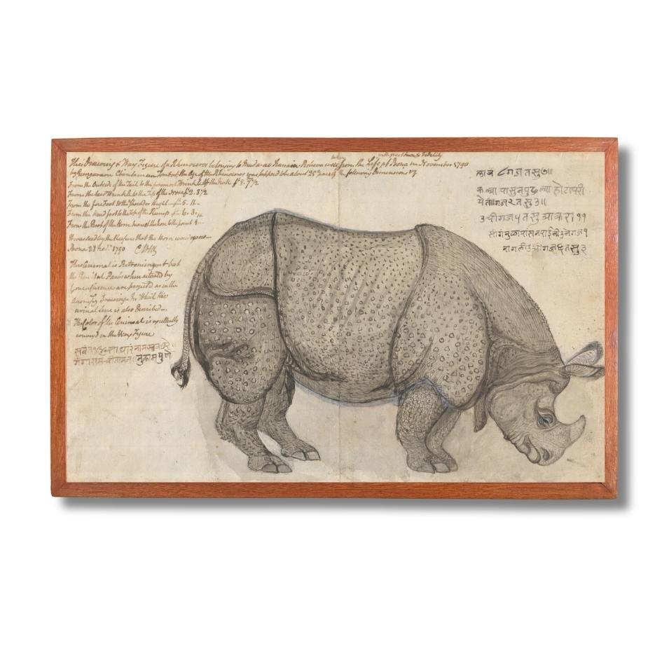 Gangaram Tambat's Rhinoceros