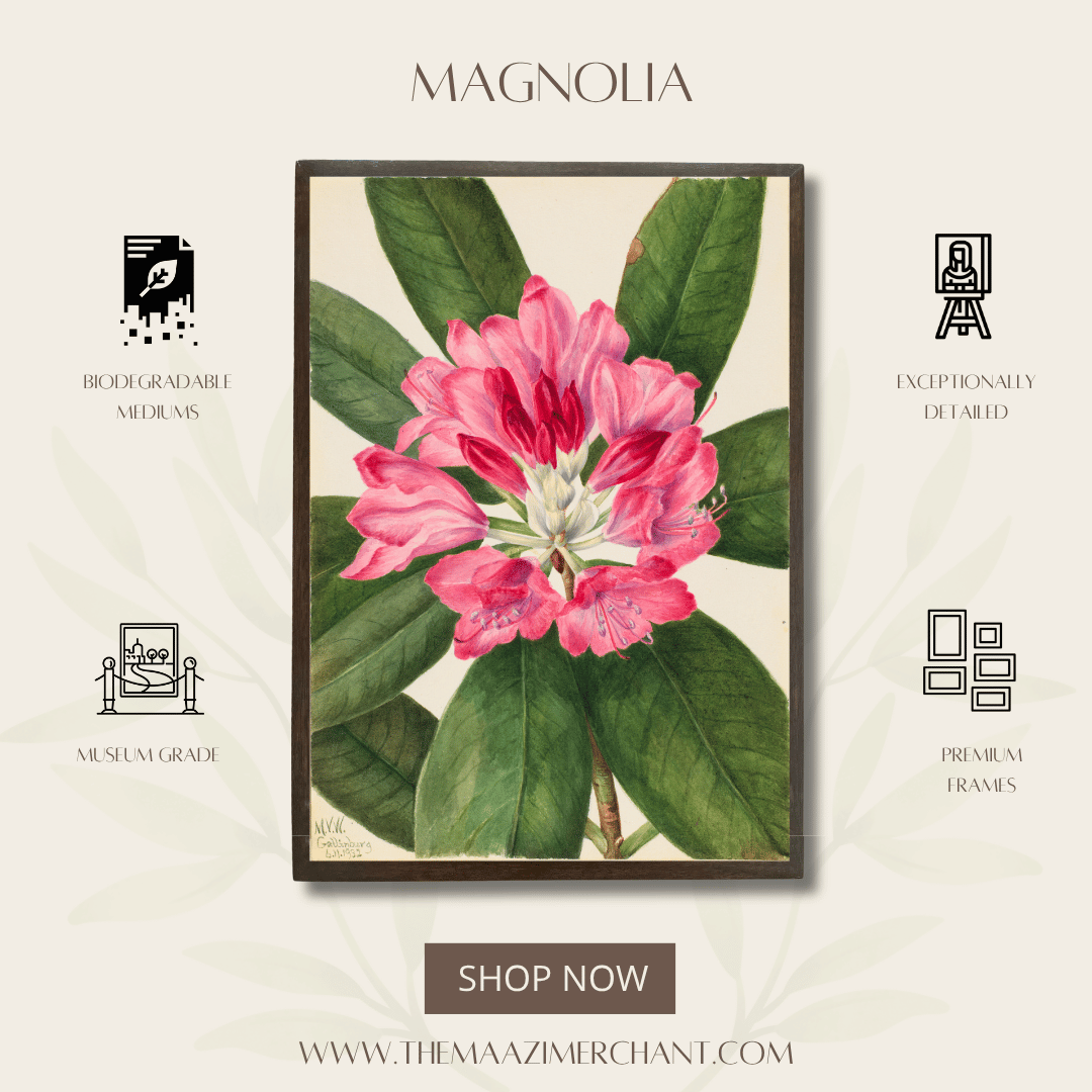 Magnolia