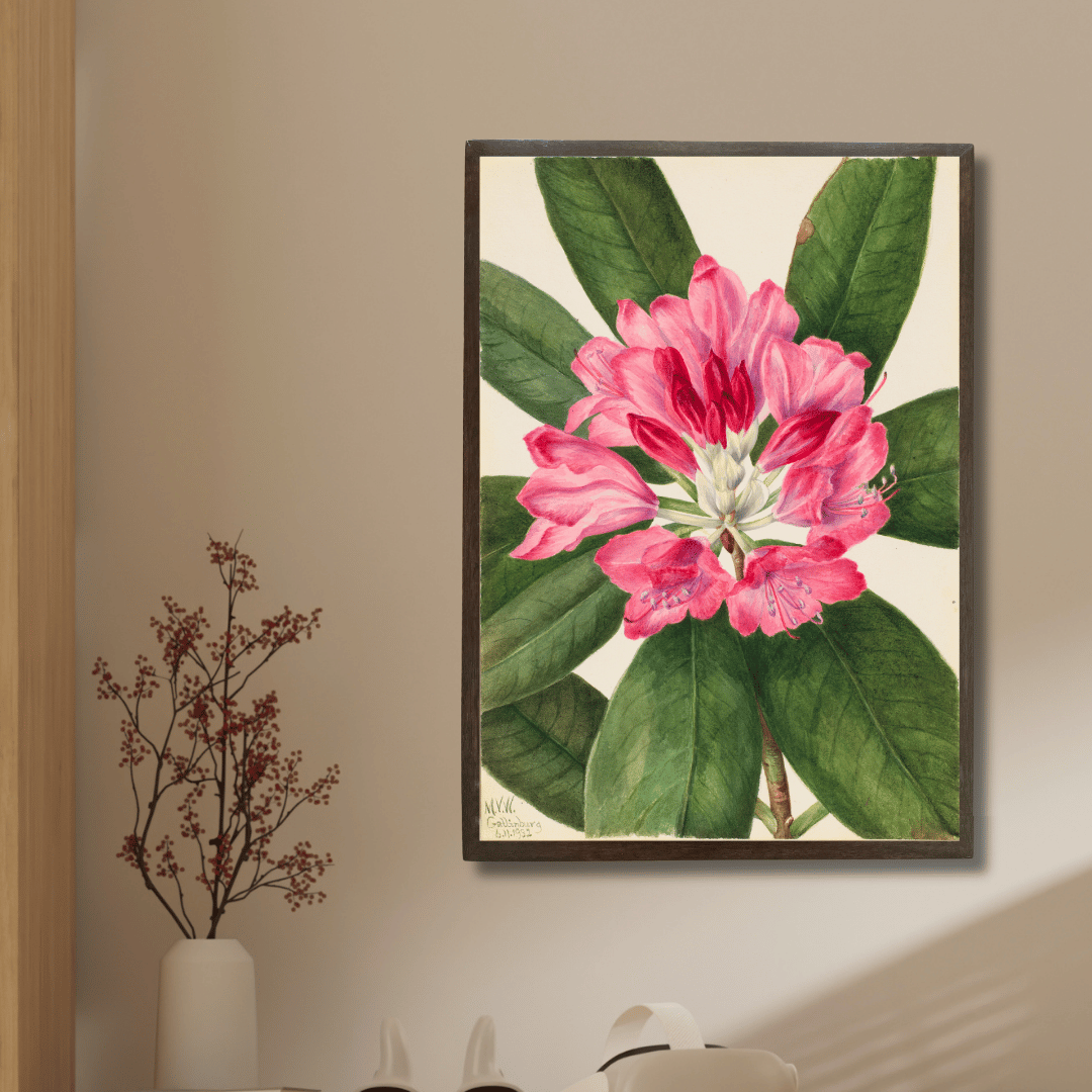 Magnolia