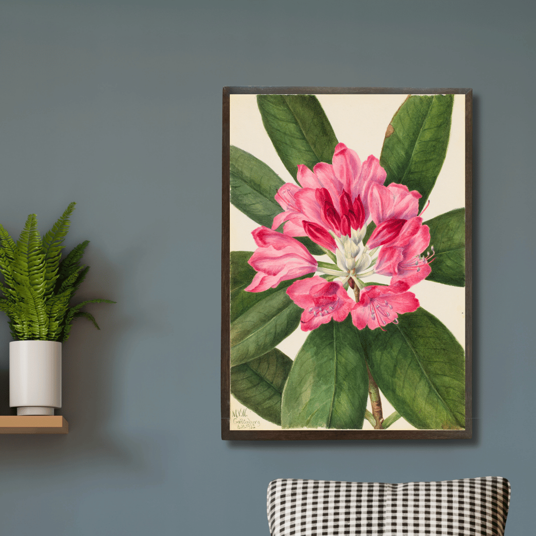 Magnolia