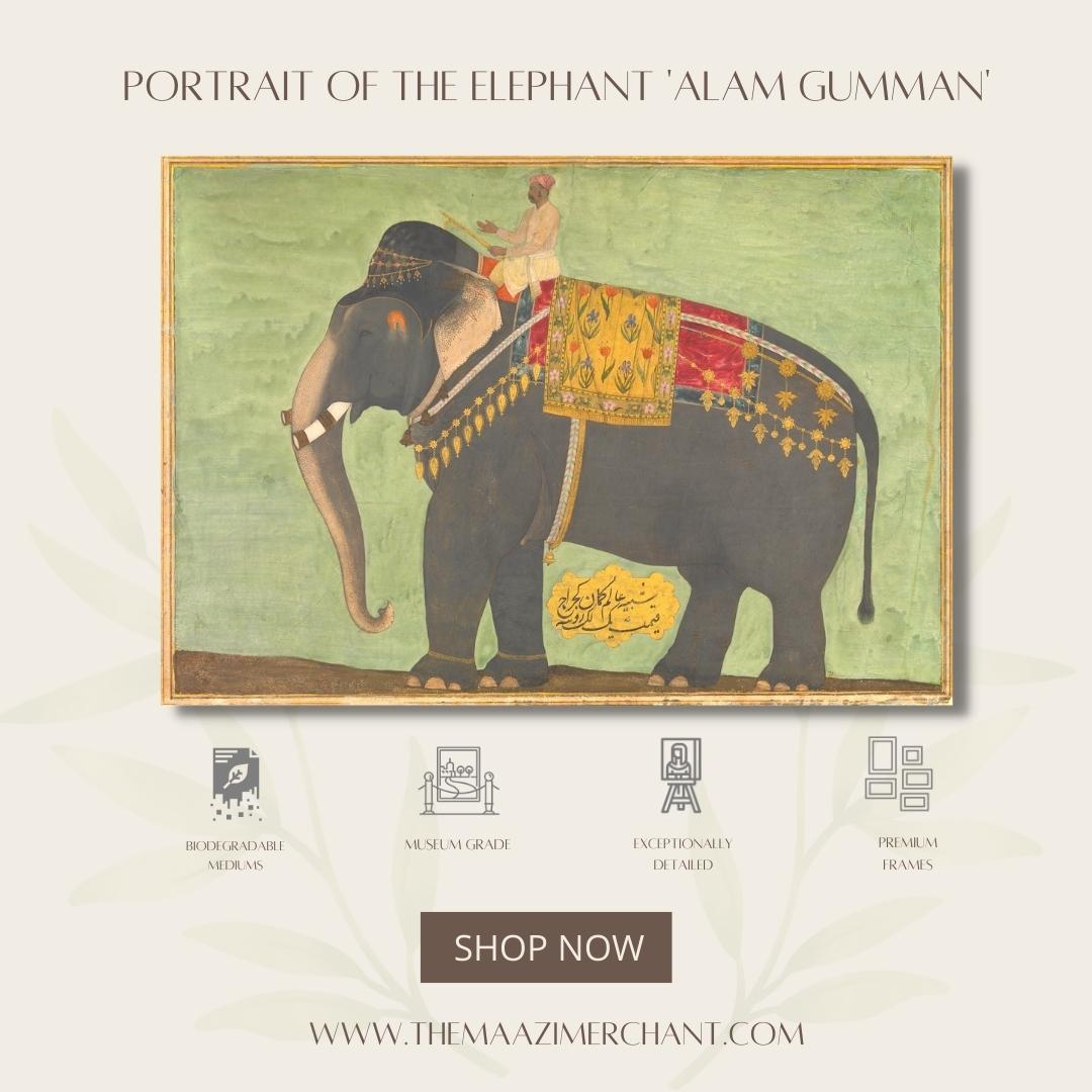 Portrait of the Elephant 'Alam Gumman'