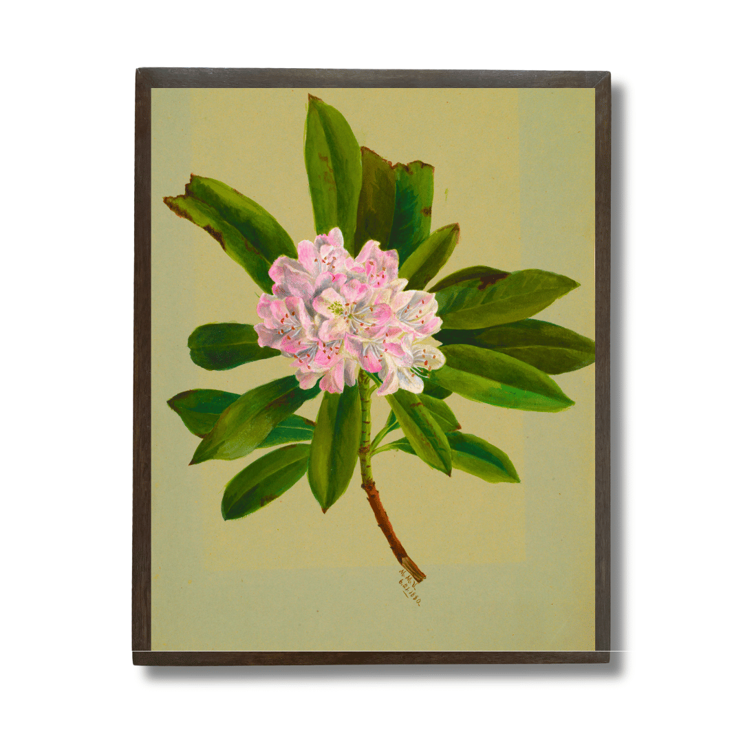 Woolflower