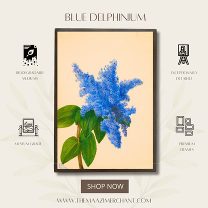 Blue Delphinium