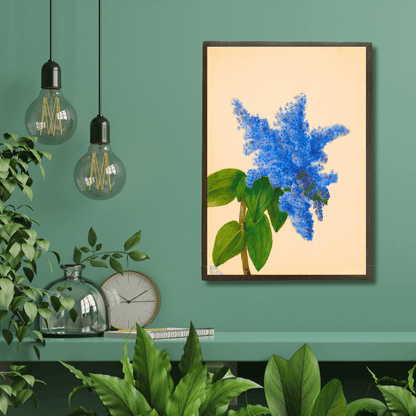 Blue Delphinium