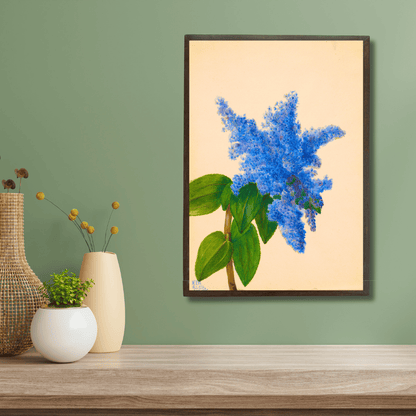 Blue Delphinium