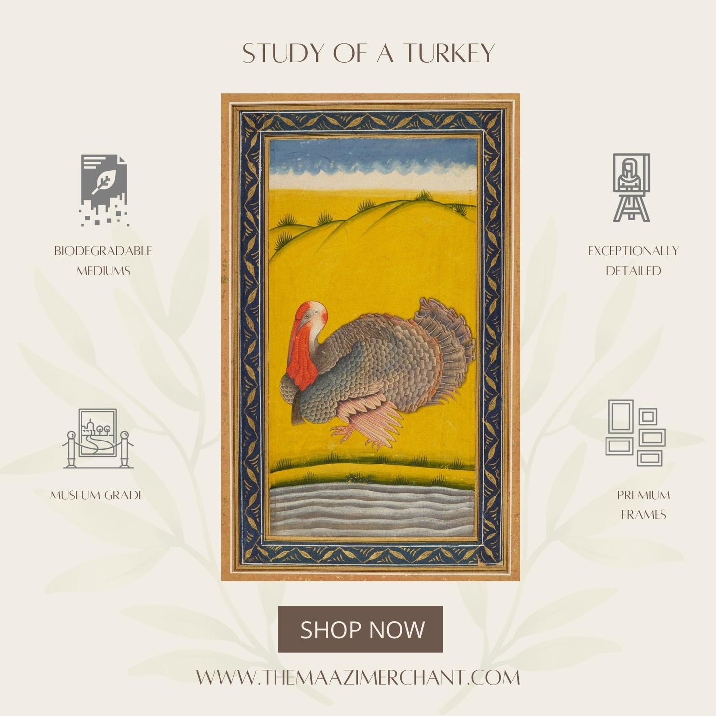 Study of a Turkey