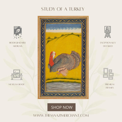 Study of a Turkey