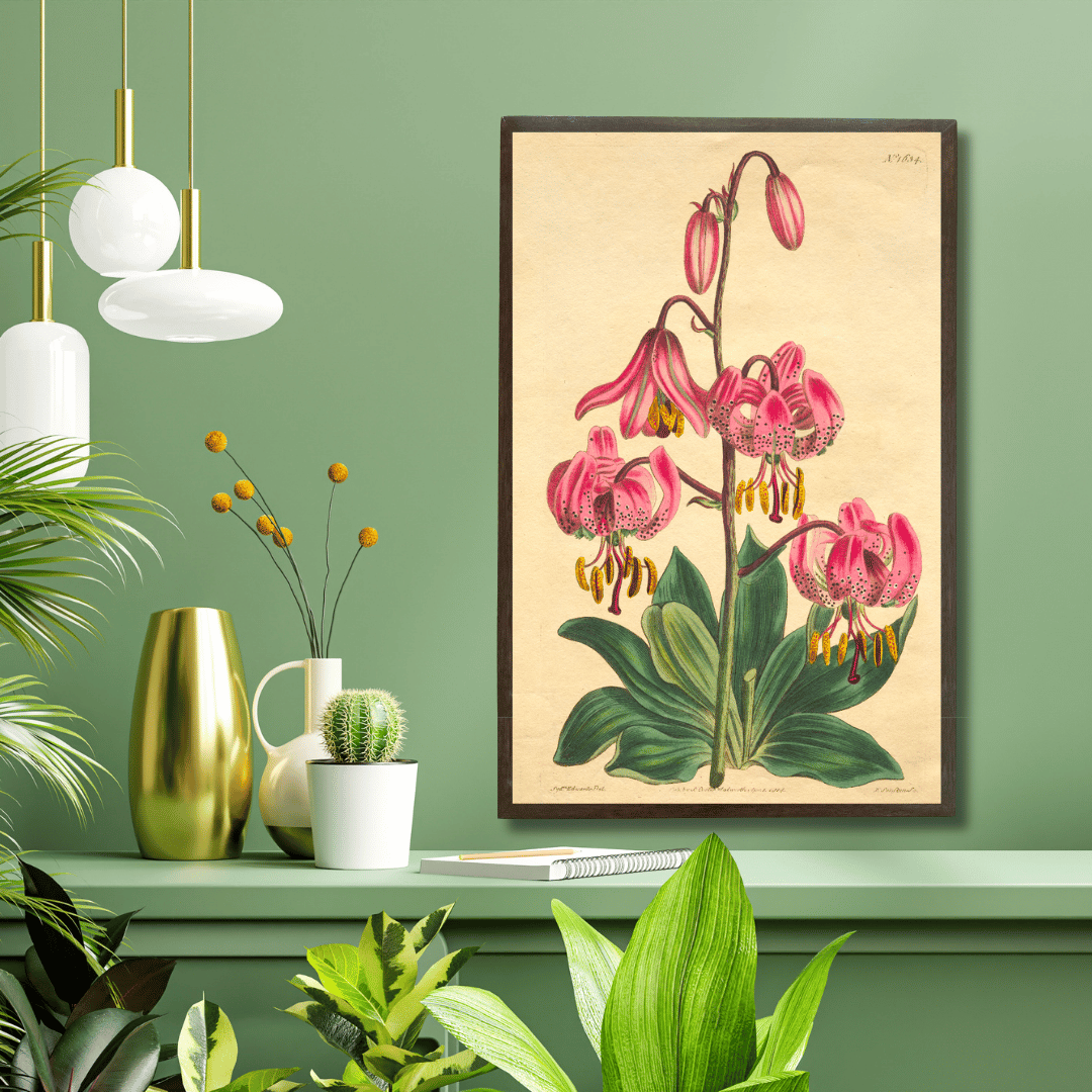 Turk's cap lilies