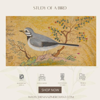 Study of a bird