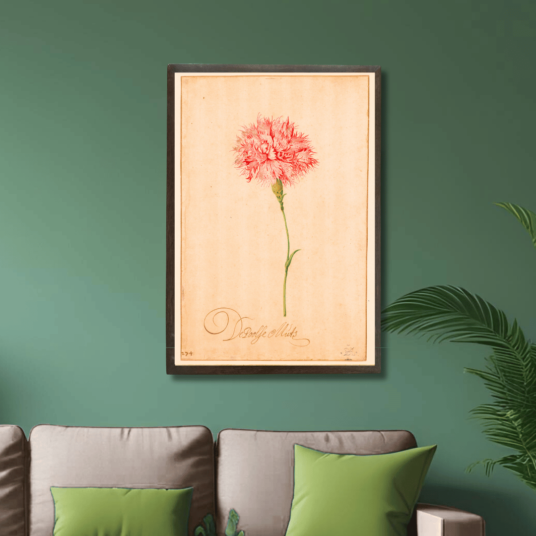 Ruffled Carnation