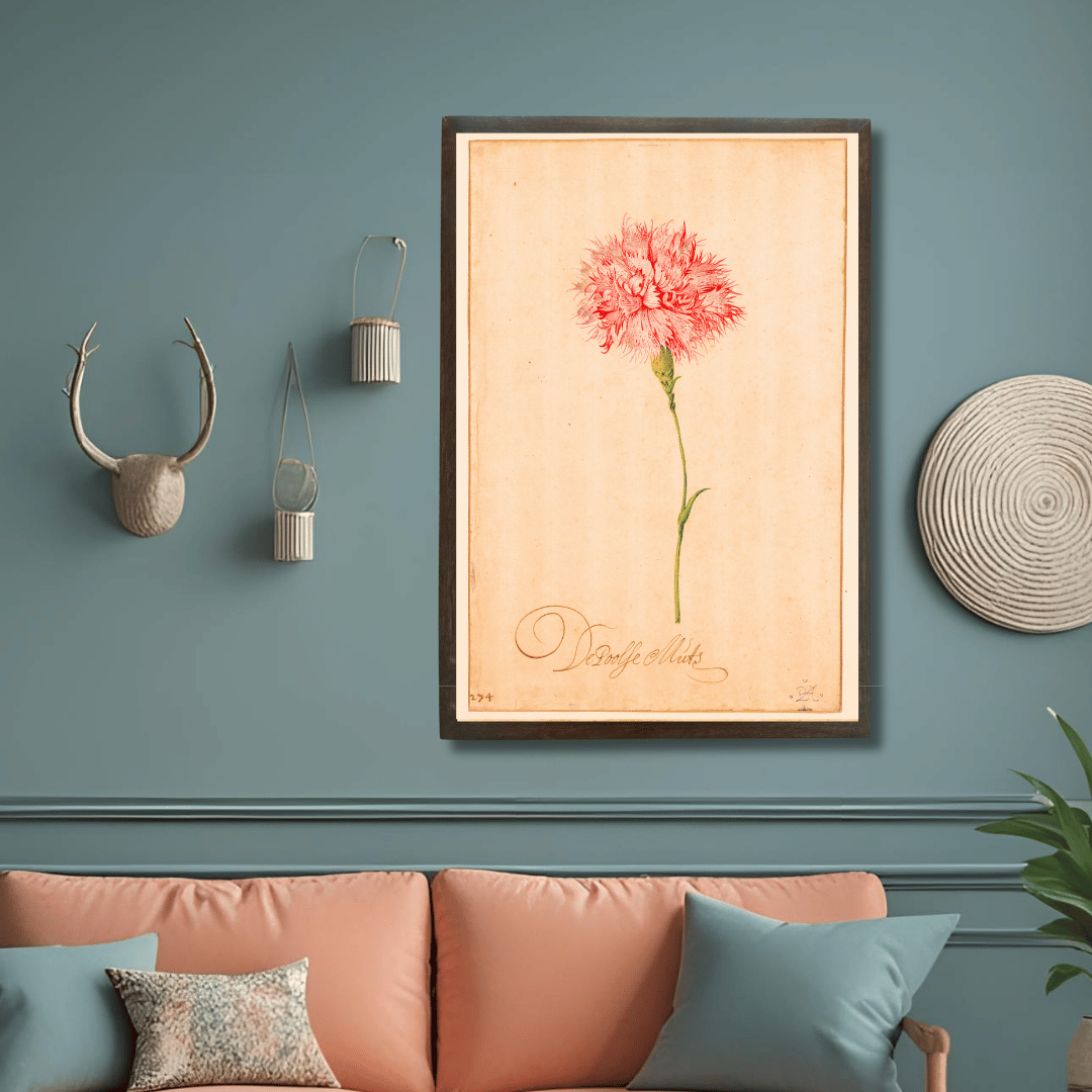 Ruffled Carnation