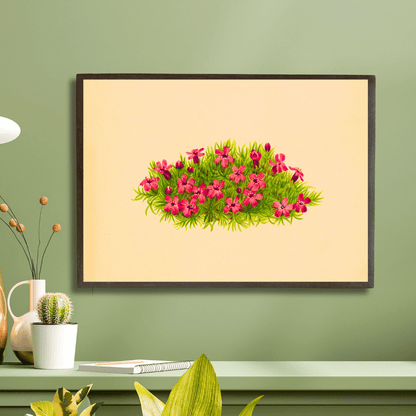 Moss Campion