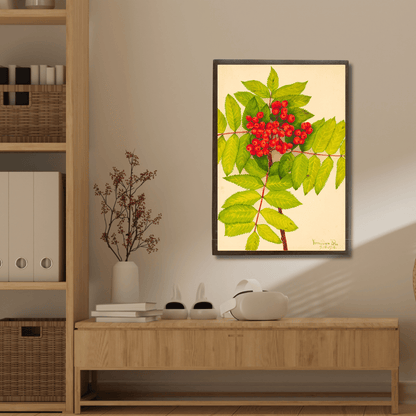 Sorbus Sambucifolia