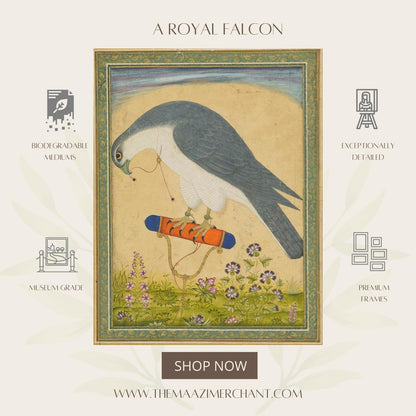 A Royal Falcon