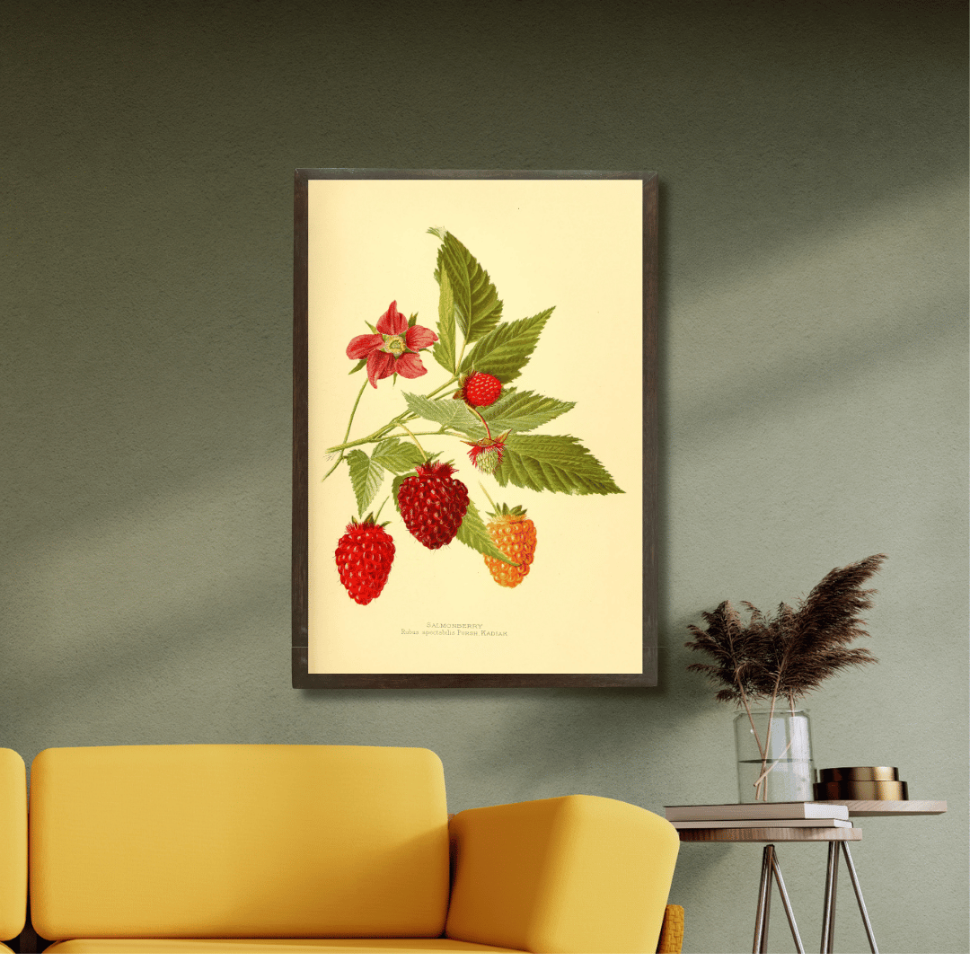 Rubus Idaeus (Raspberry)