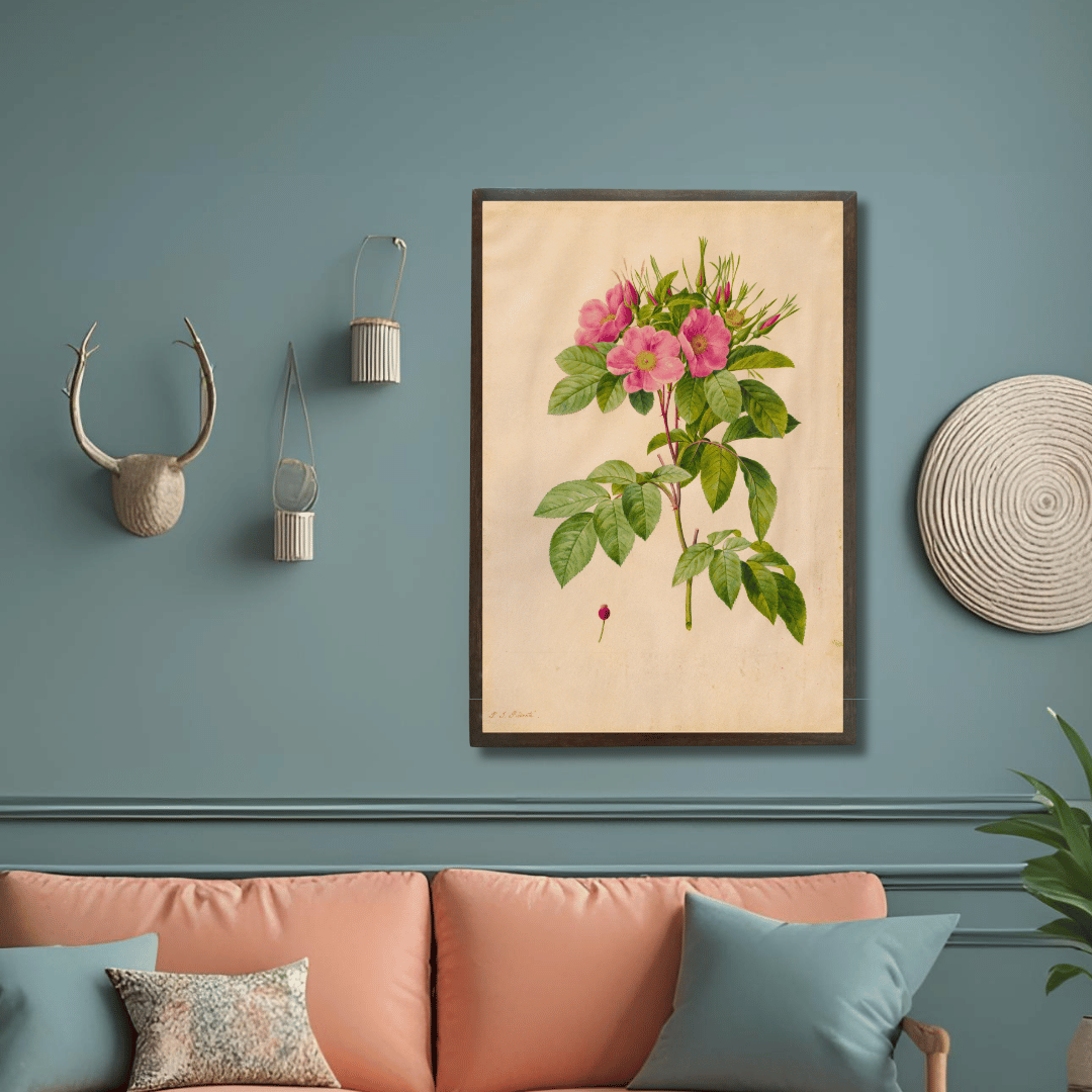 Pasture Rose