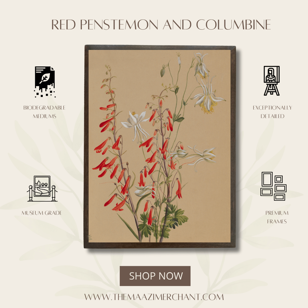 Red Penstemon and Columbine