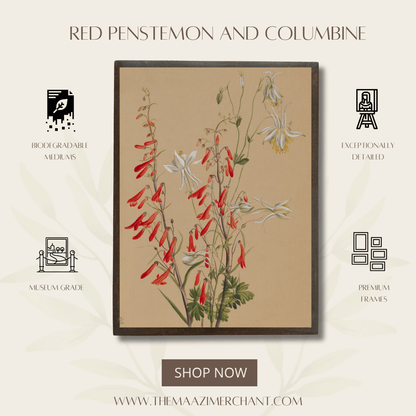 Red Penstemon and Columbine