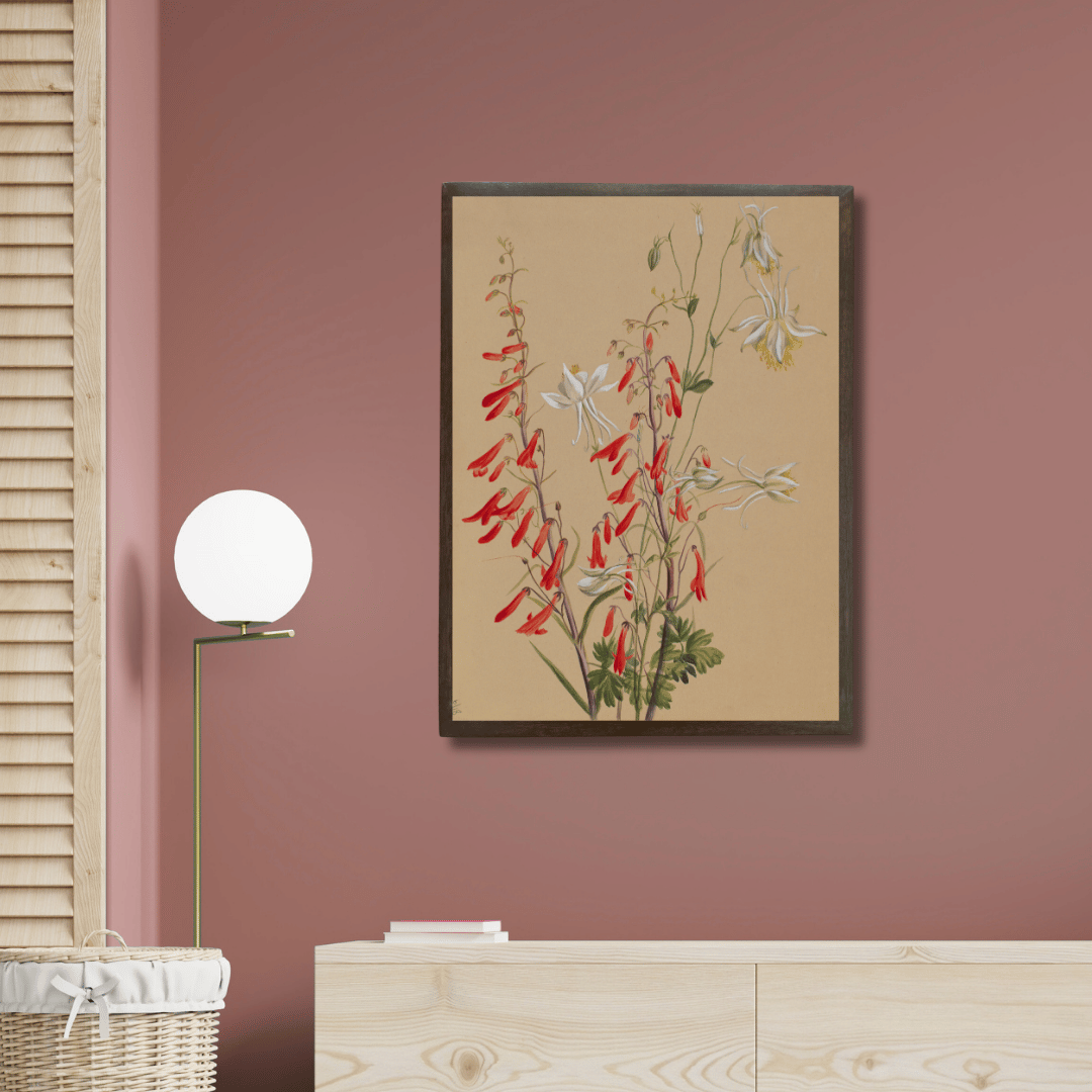 Red Penstemon and Columbine