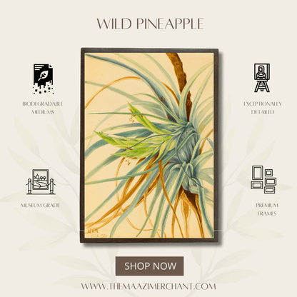 Wild Pineapple