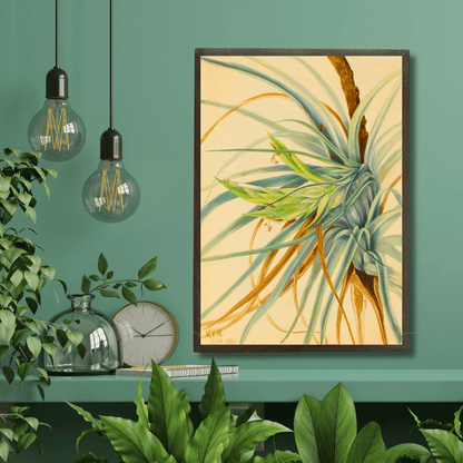 Wild Pineapple