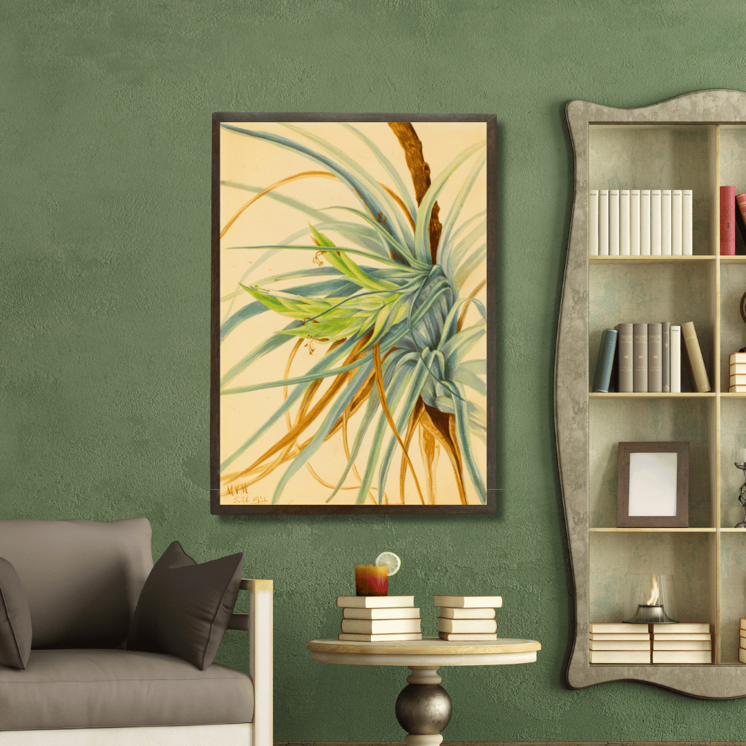 Wild Pineapple