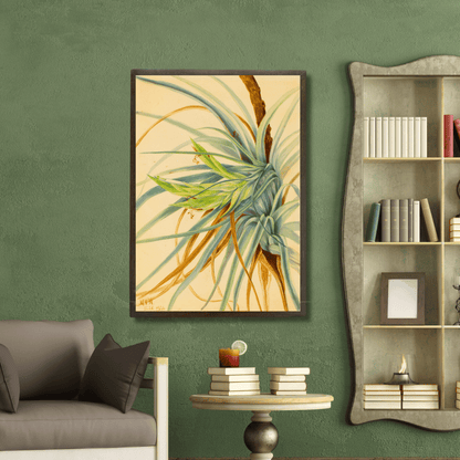 Wild Pineapple
