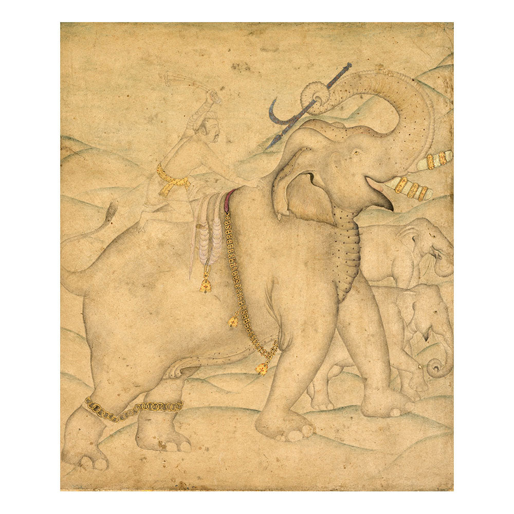 Jehangir Taming and Elephant