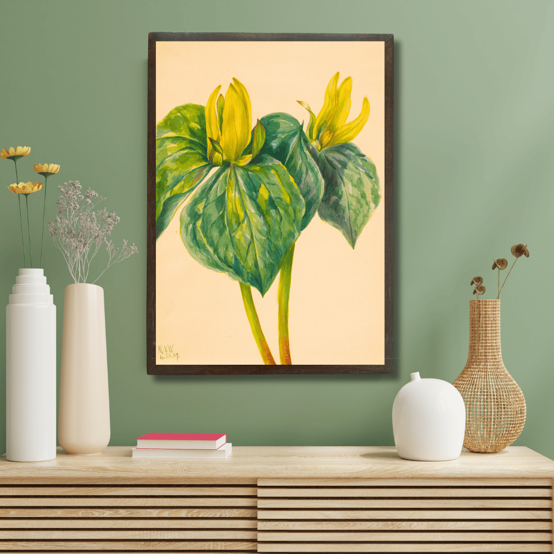 Yellow Trillium