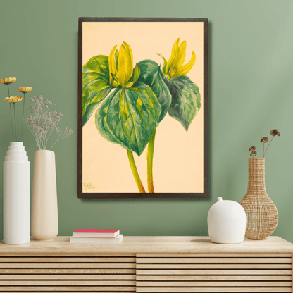 Yellow Trillium