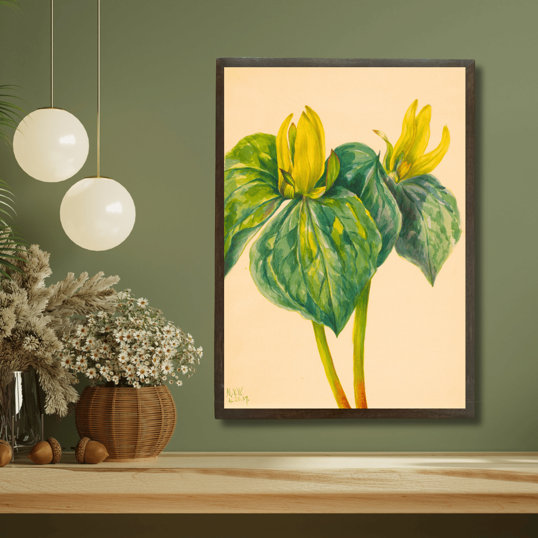Yellow Trillium