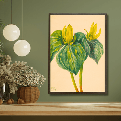 Yellow Trillium