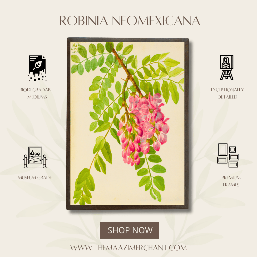 Robina Neomexicana