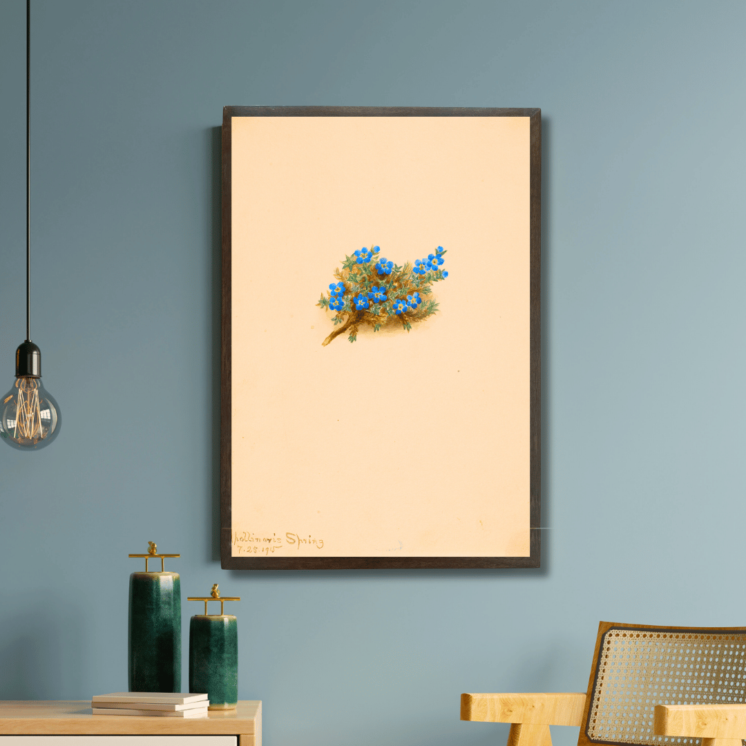 Moss Forget-me-not