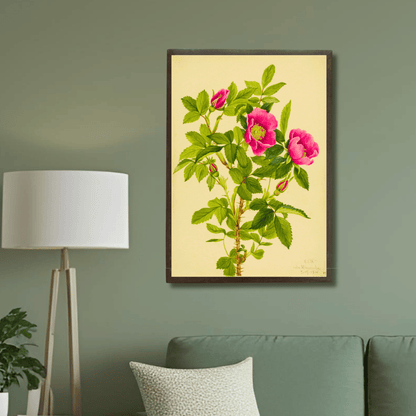 Wild Pink Rose