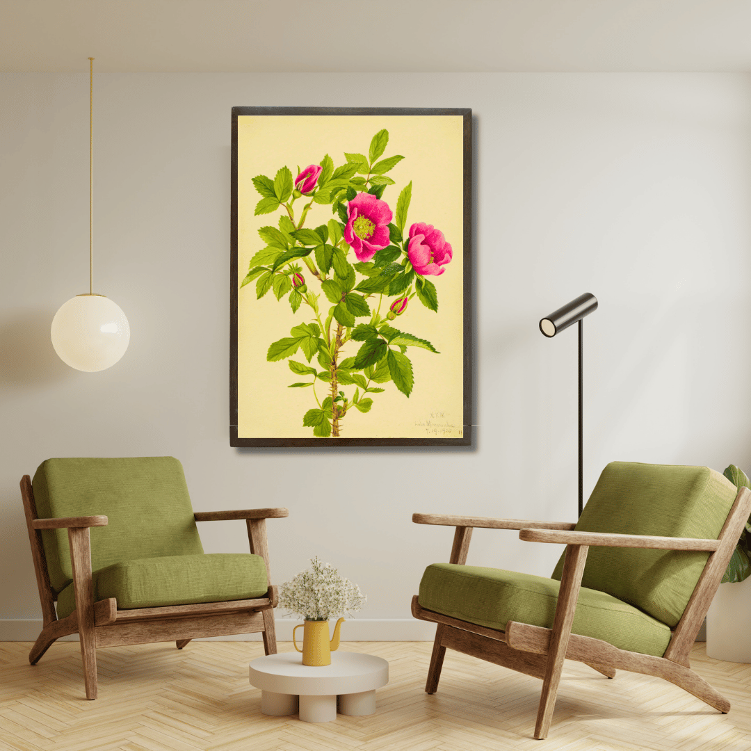 Wild Pink Rose