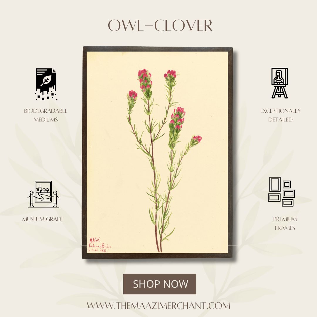 Own-Clover