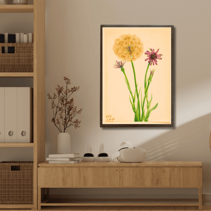 Vintage Salsify Wildflower