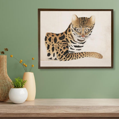 A Leopard Cat